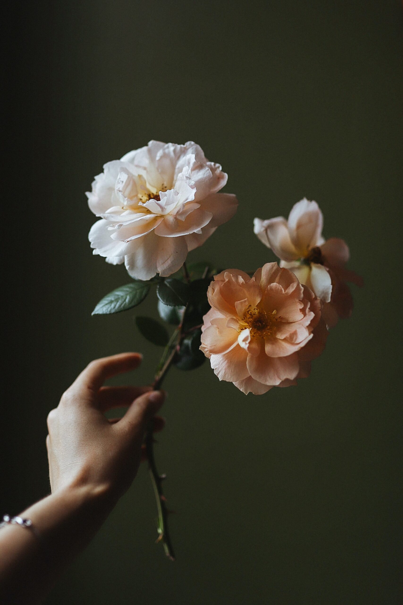 ana-markovych-4xh0szwpvSI-unsplash